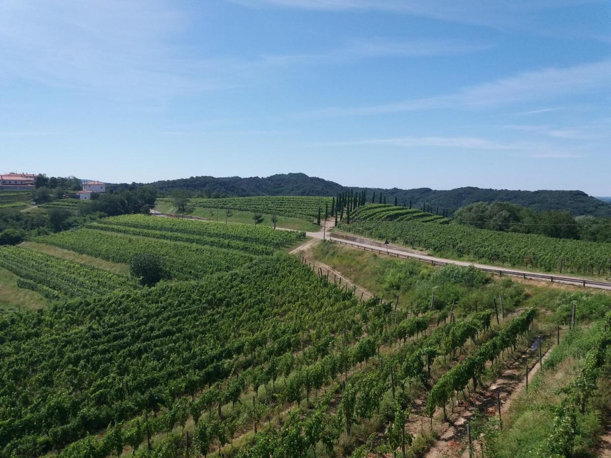 Agriturismo Casa Delle Rose Winery Ruttàrs Zewnętrze zdjęcie