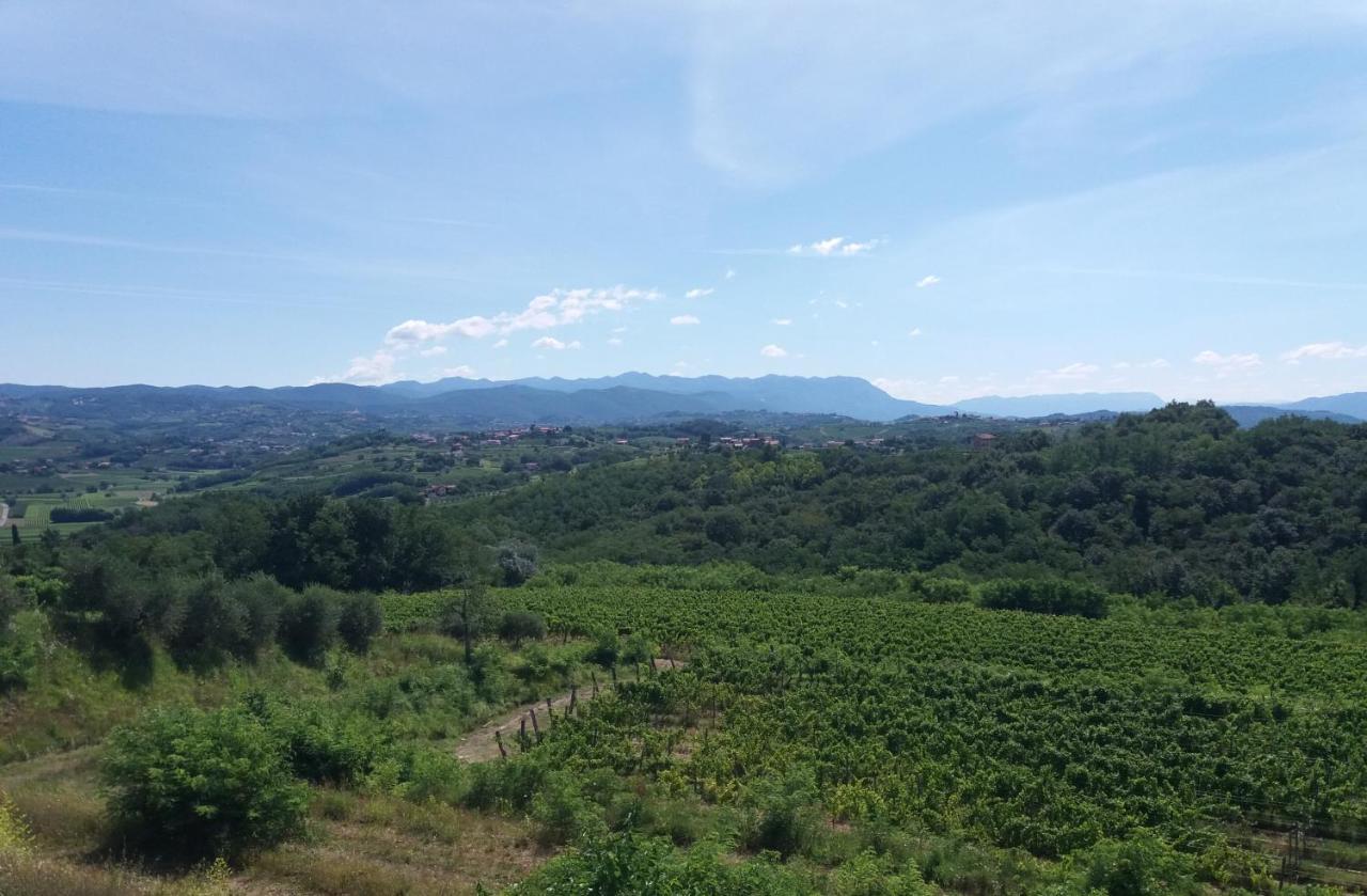 Agriturismo Casa Delle Rose Winery Ruttàrs Zewnętrze zdjęcie
