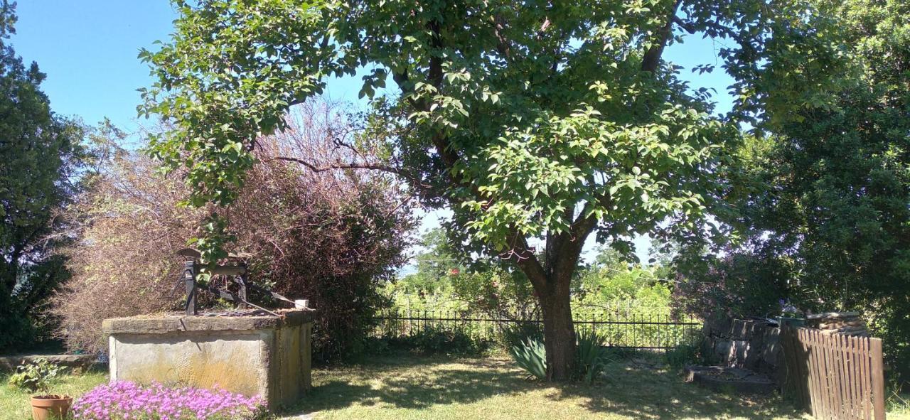 Agriturismo Casa Delle Rose Winery Ruttàrs Zewnętrze zdjęcie
