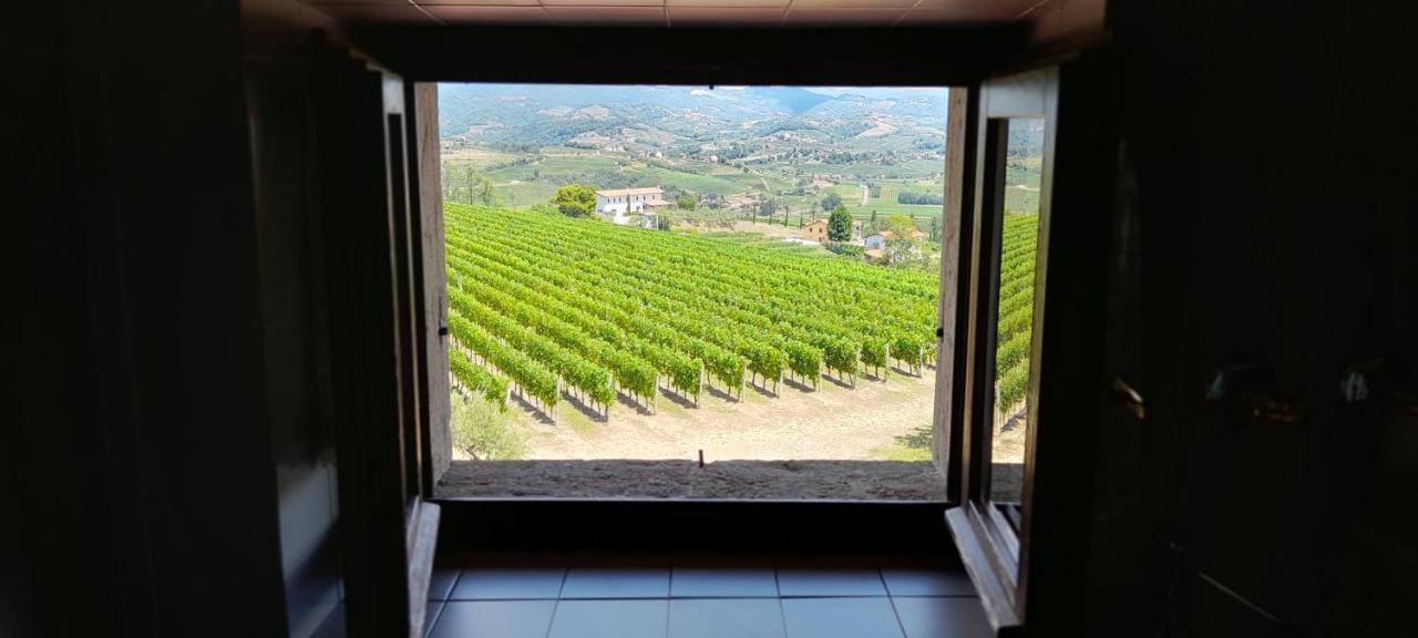 Agriturismo Casa Delle Rose Winery Ruttàrs Zewnętrze zdjęcie