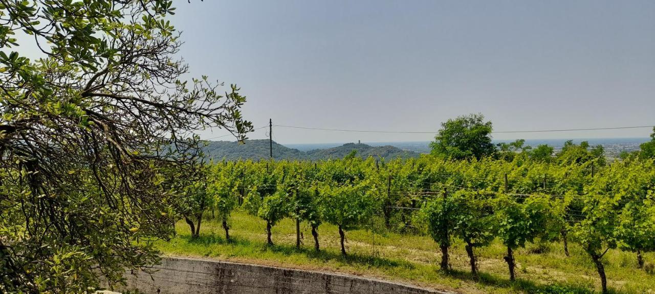 Agriturismo Casa Delle Rose Winery Ruttàrs Zewnętrze zdjęcie