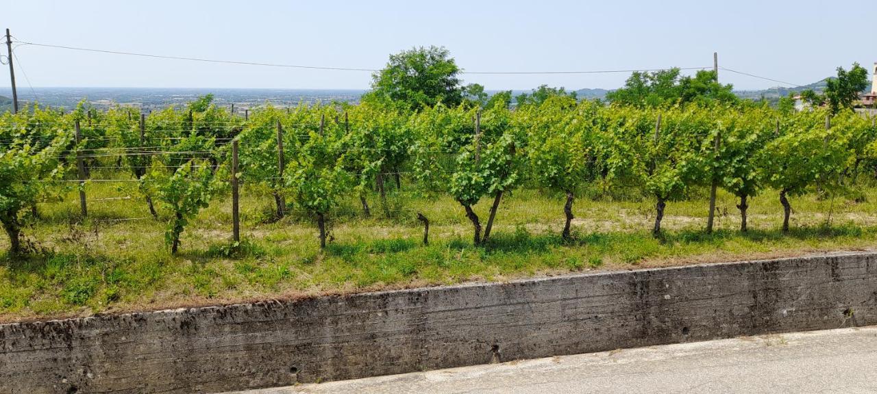 Agriturismo Casa Delle Rose Winery Ruttàrs Zewnętrze zdjęcie