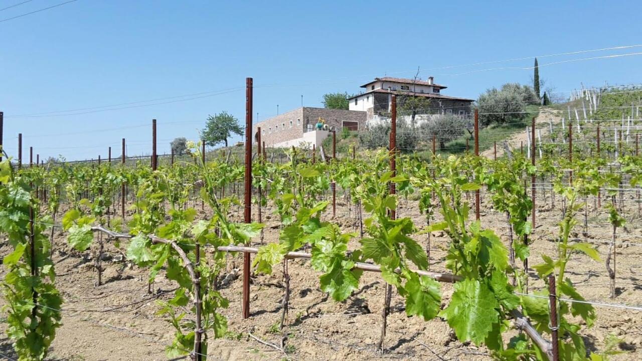 Agriturismo Casa Delle Rose Winery Ruttàrs Zewnętrze zdjęcie