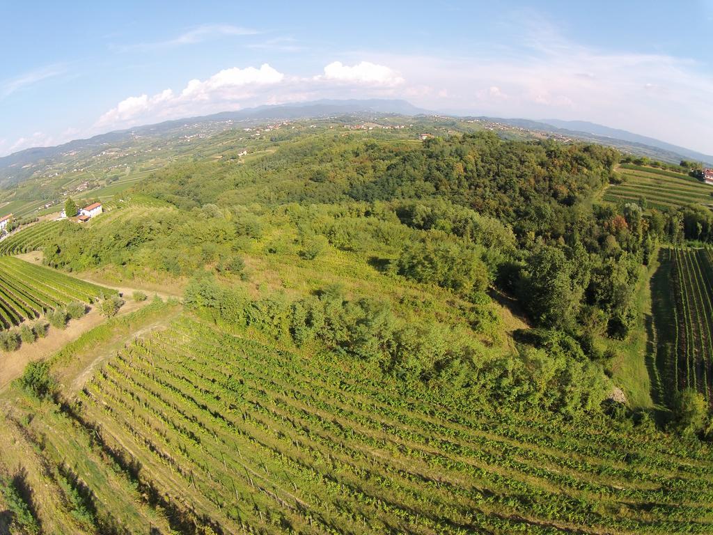 Agriturismo Casa Delle Rose Winery Ruttàrs Zewnętrze zdjęcie