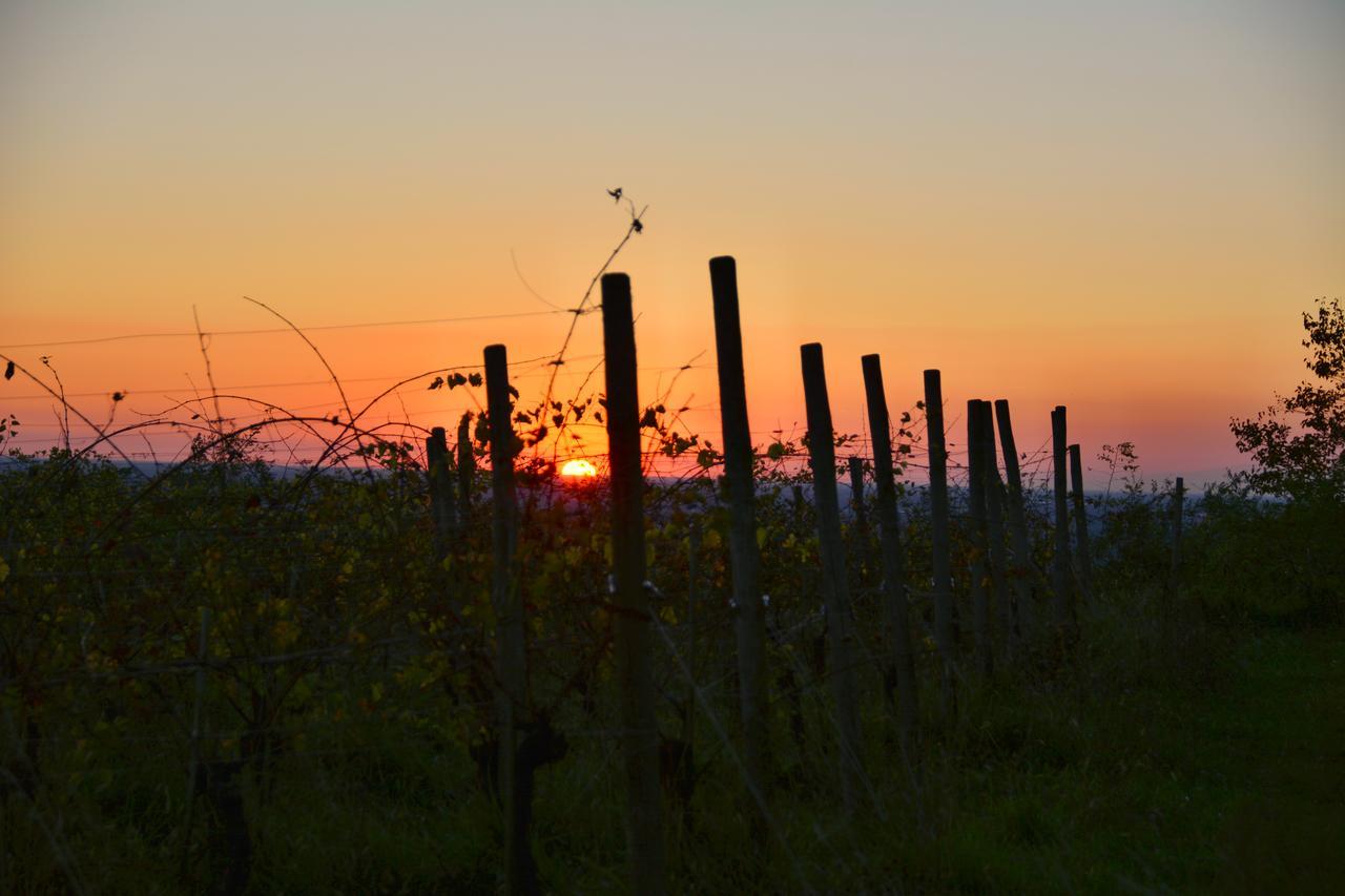 Agriturismo Casa Delle Rose Winery Ruttàrs Zewnętrze zdjęcie