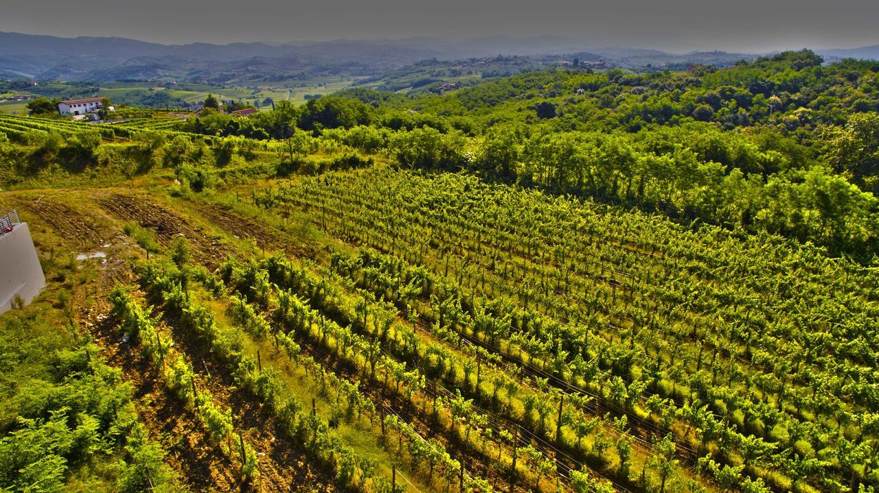 Agriturismo Casa Delle Rose Winery Ruttàrs Zewnętrze zdjęcie