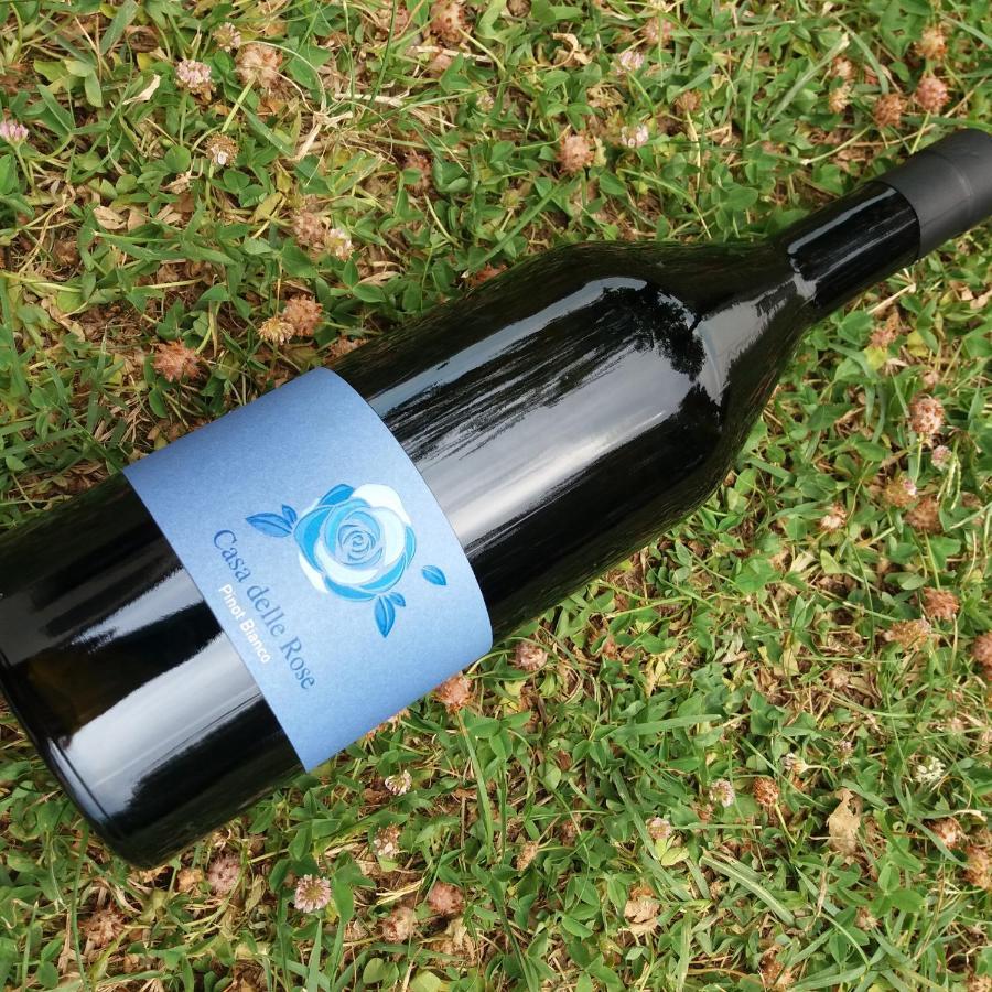 Agriturismo Casa Delle Rose Winery Ruttàrs Zewnętrze zdjęcie